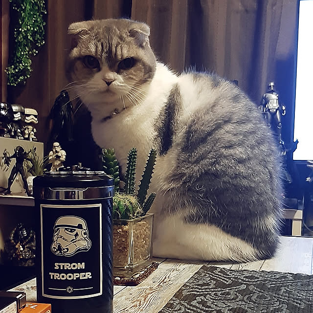 tosi66554さんの実例写真