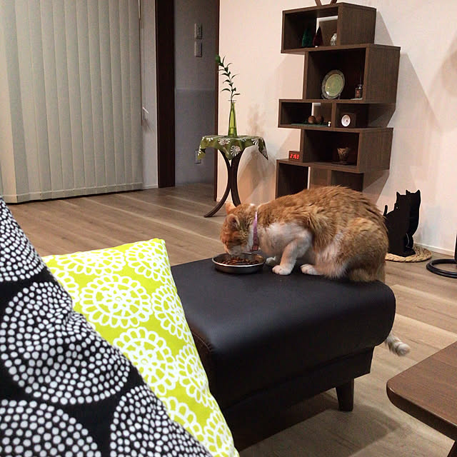 houenさんの実例写真