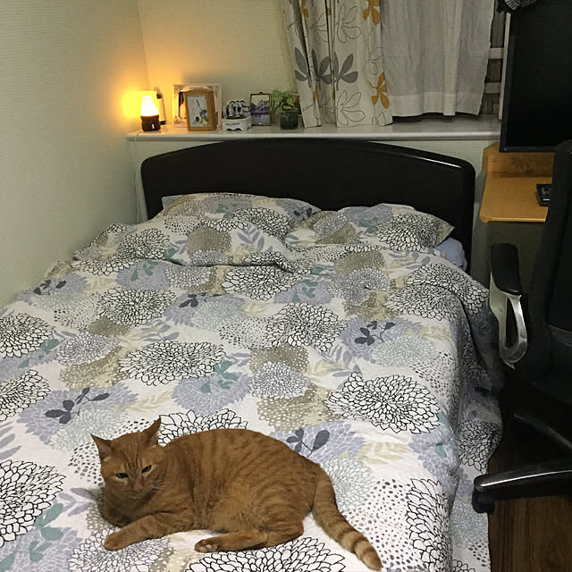 sleptcatさんの実例写真