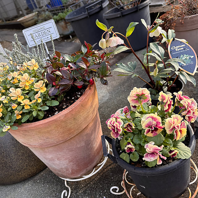 R.Y.Oさんの部屋