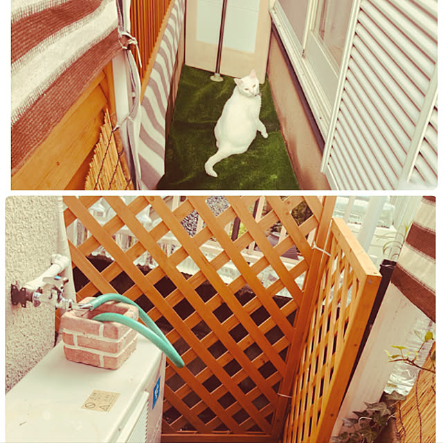 moyuhiさんの実例写真