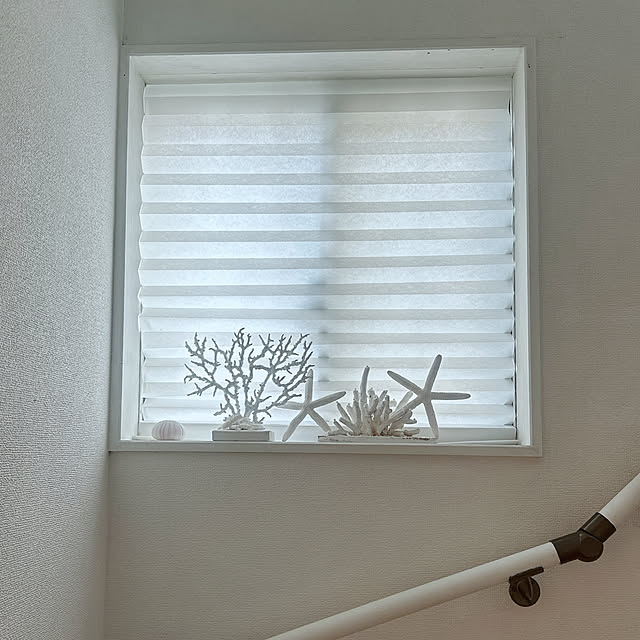 Megumiさんの実例写真