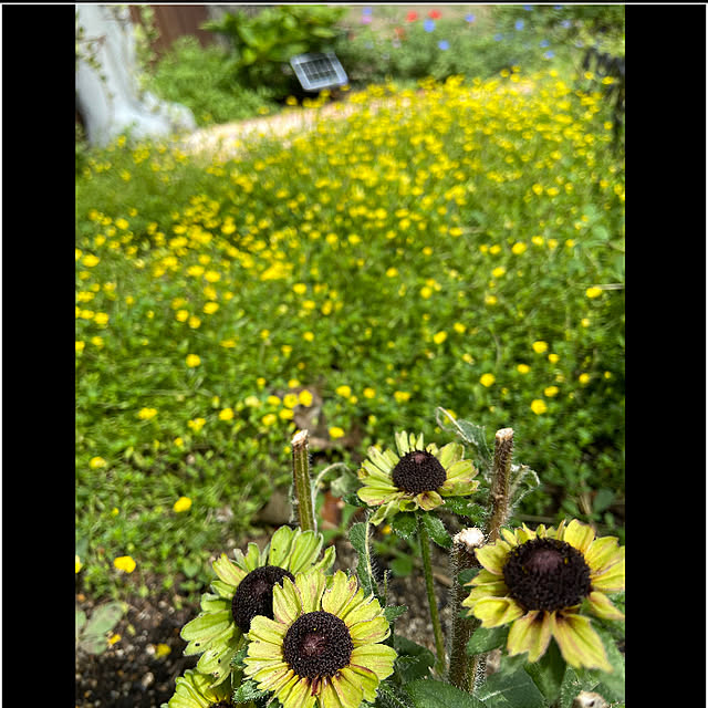 glassflowerさんの実例写真