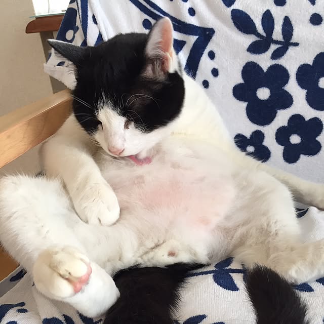 odekoさんの実例写真