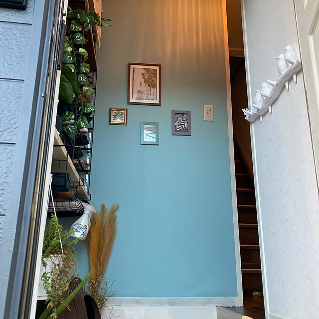 HANAさんの実例写真