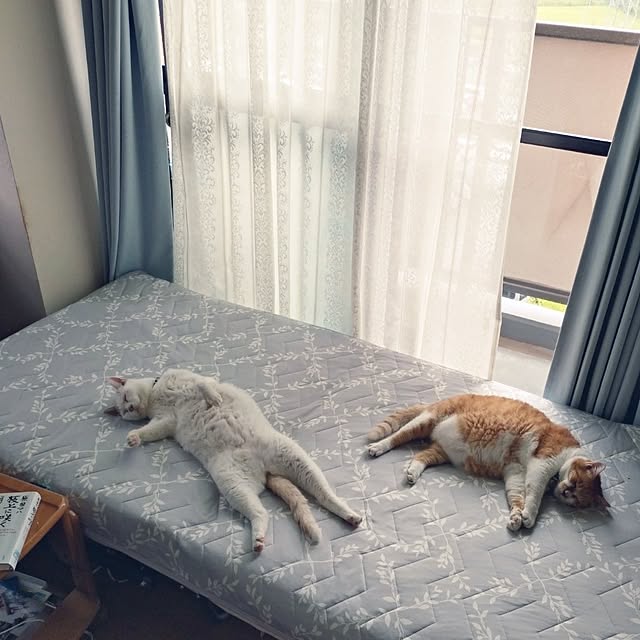 NOAHさんの実例写真
