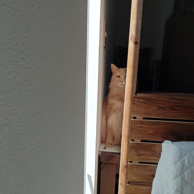 1ldksさんの実例写真
