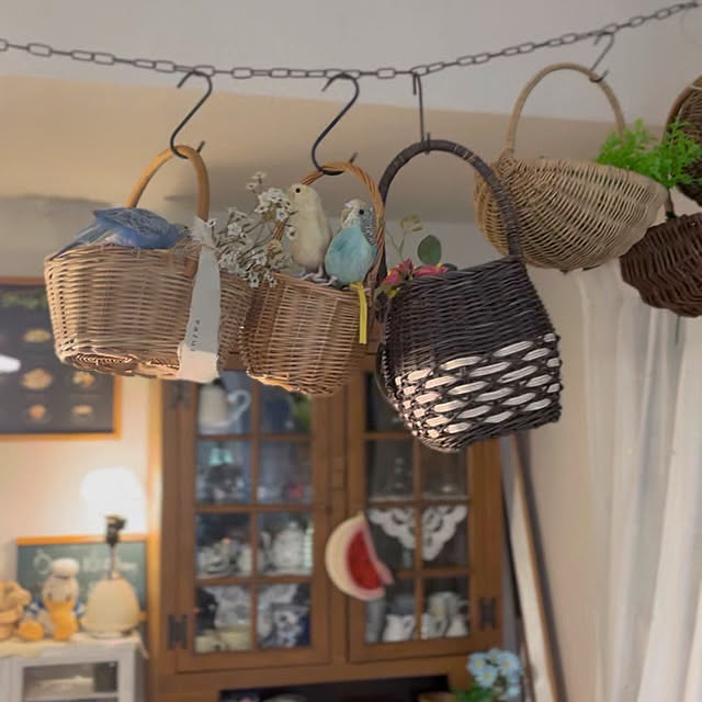 Atsukoさんの部屋