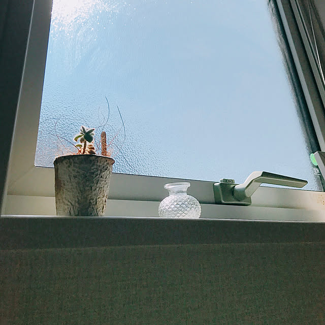 Rikomasuさんの実例写真