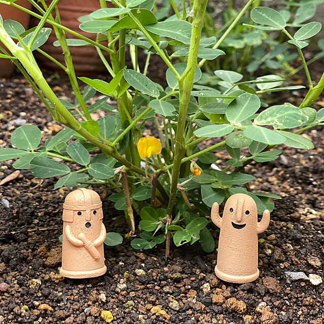 miechuraさんの実例写真