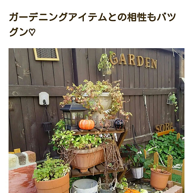Nashuryueさんの実例写真