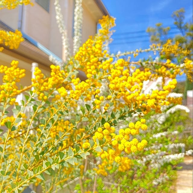 min_nimさんの実例写真