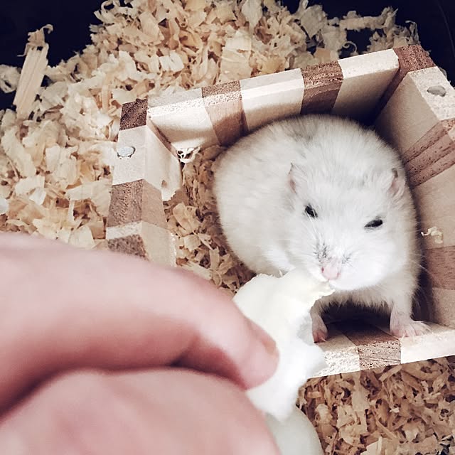 yui0130さんの実例写真