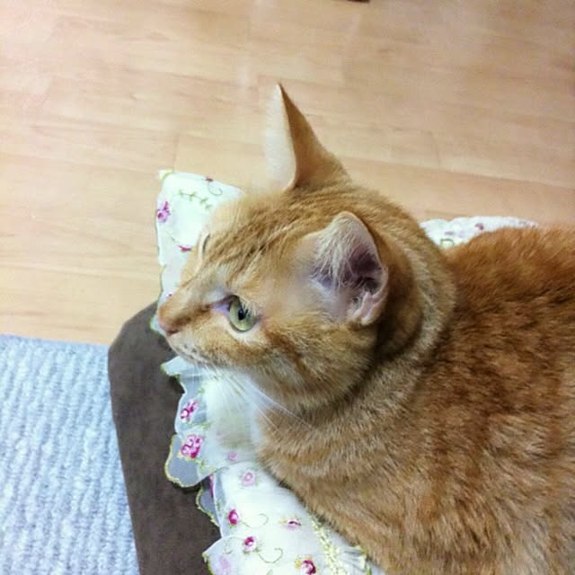 Yasumiさんの実例写真