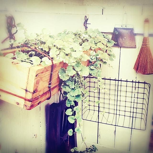 chapechapicさんの実例写真