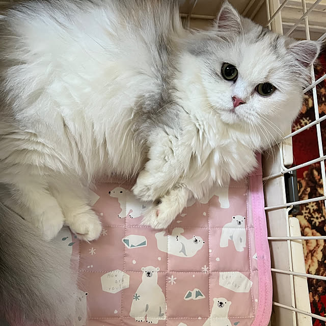 AYUKOさんの部屋