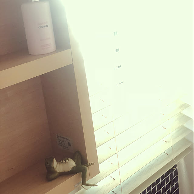 meg214さんの実例写真