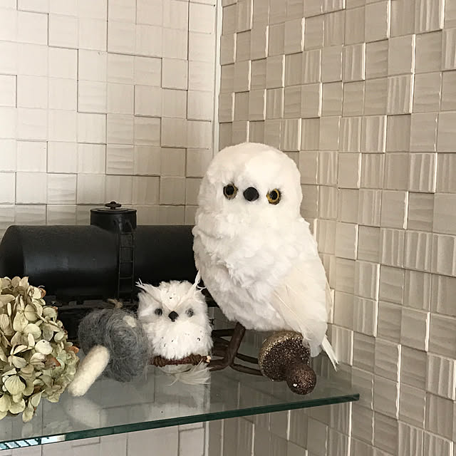 mizucchiさんの実例写真