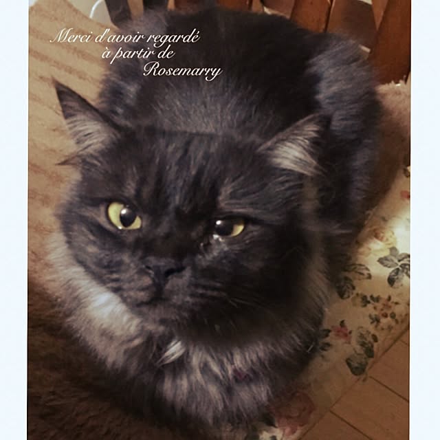 maria.rさんの実例写真
