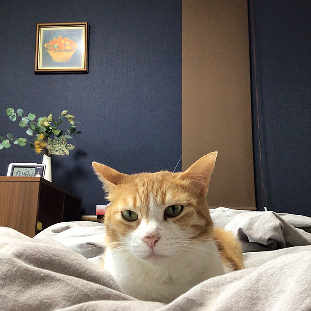 houenさんの部屋