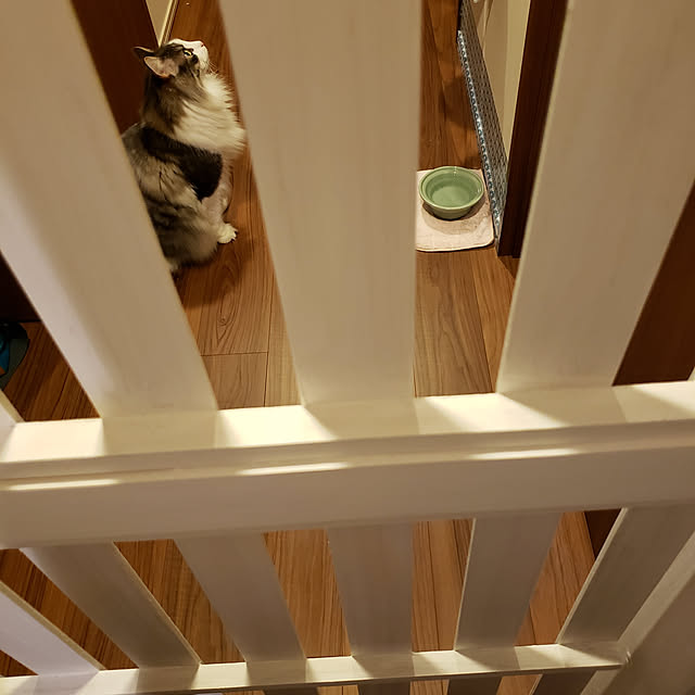 mofさんの実例写真