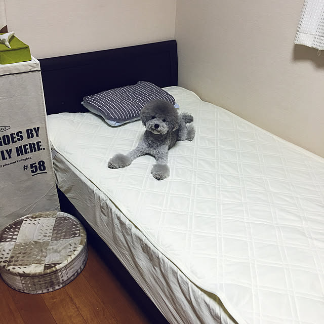meguko.ryanさんの実例写真