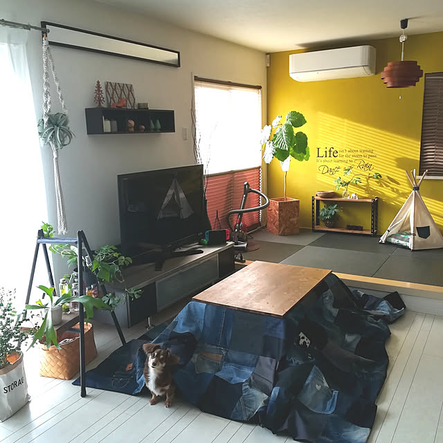 rikakoさんの実例写真