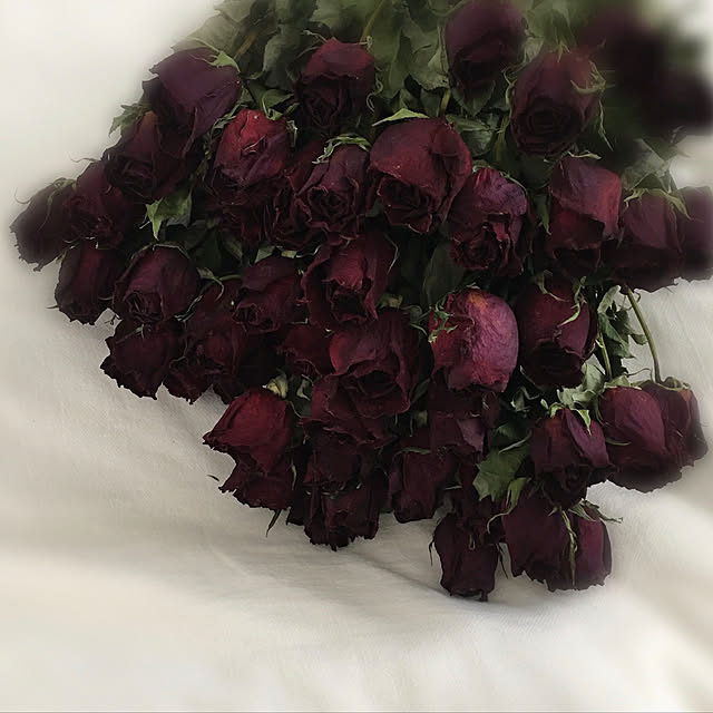 myfavorite_roomさんの実例写真