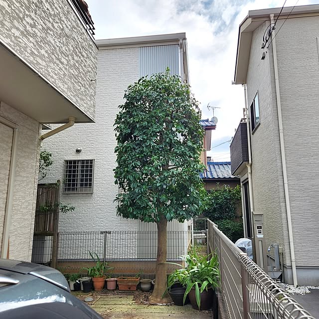 yasu10さんの実例写真