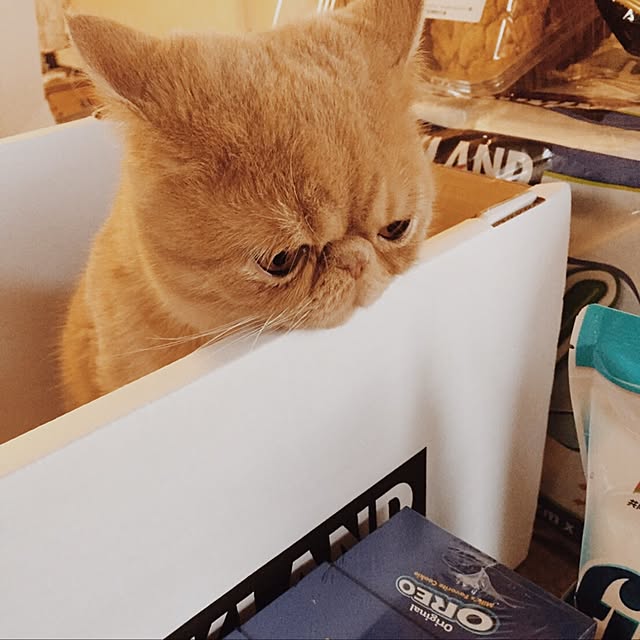 anmituさんの実例写真