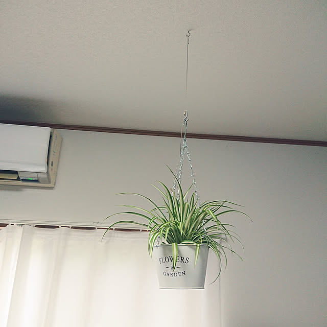 nachiさんの実例写真