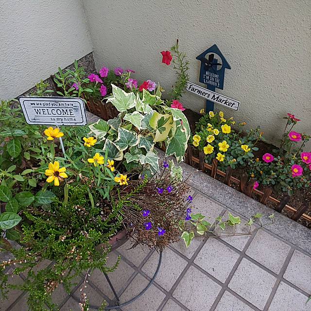 seiko44さんの実例写真