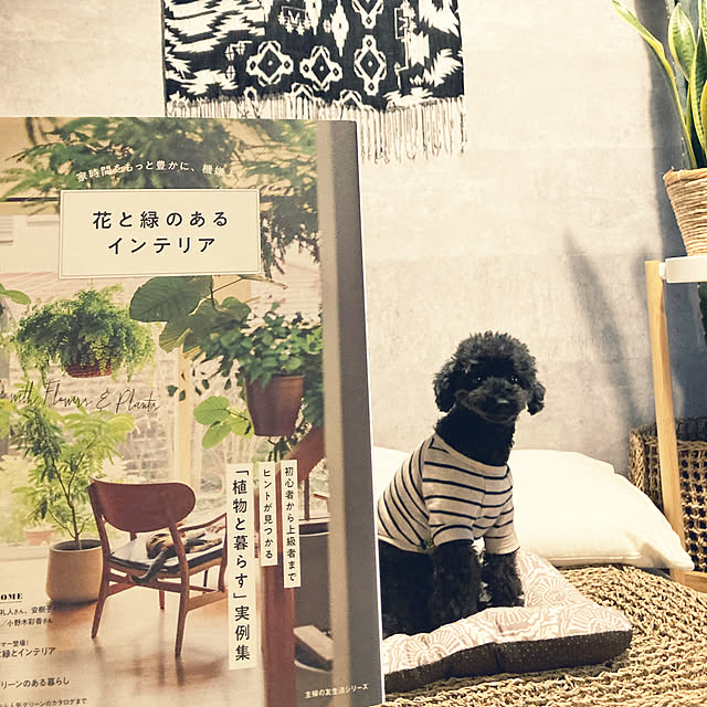 hira_muji_mihiさんの実例写真