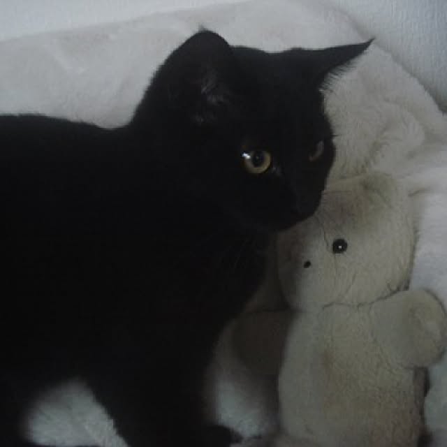 sannbonnnonamiさんの実例写真