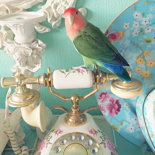 twinkle-butterfly38さんの実例写真