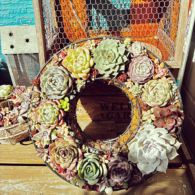 buchikoさんの部屋