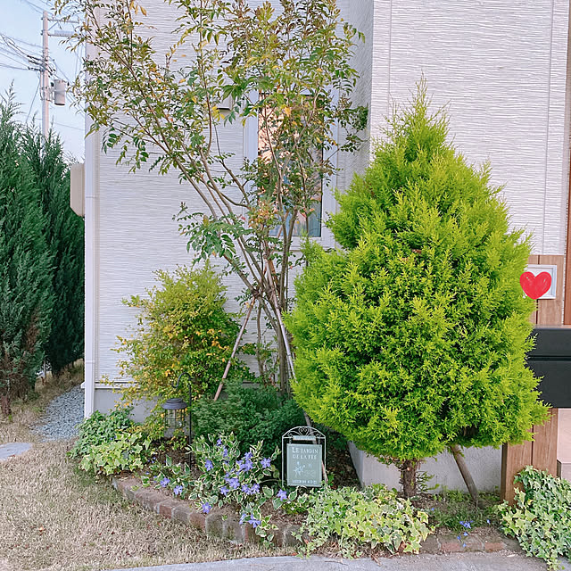 reo..m.aさんの実例写真