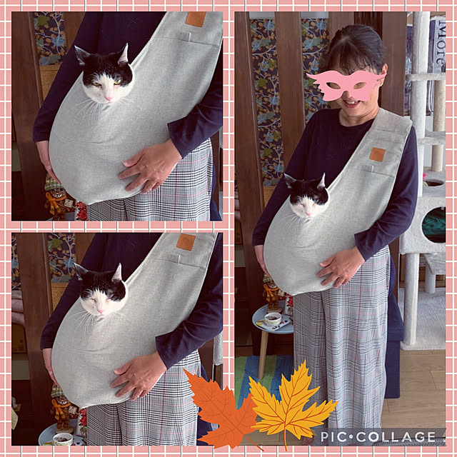 futukoさんの実例写真
