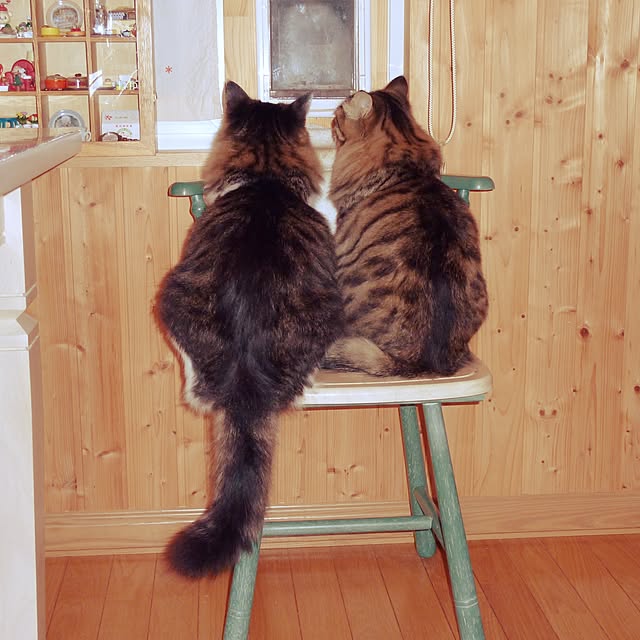 fumiさんの実例写真