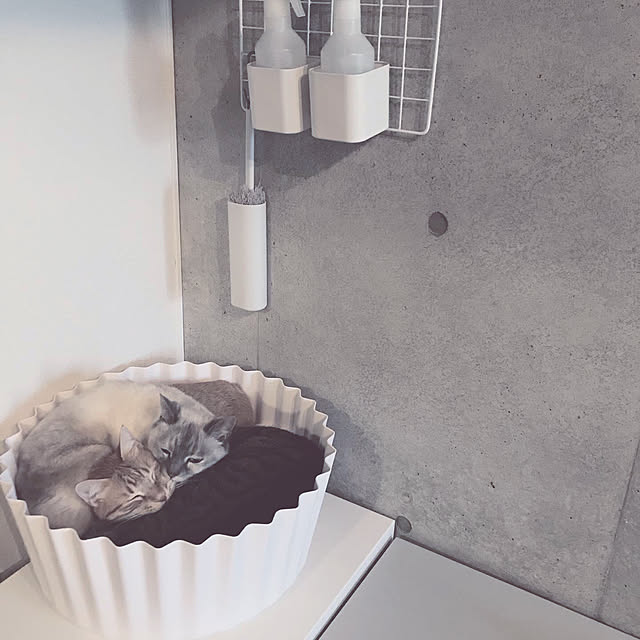 Hotateさんの実例写真