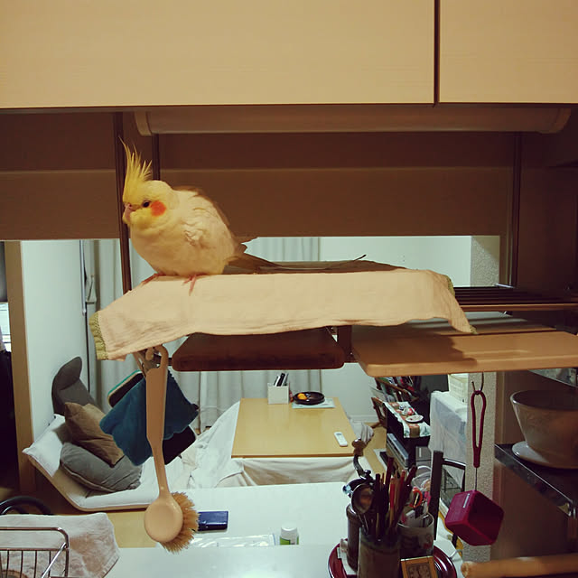 pontaさんの実例写真