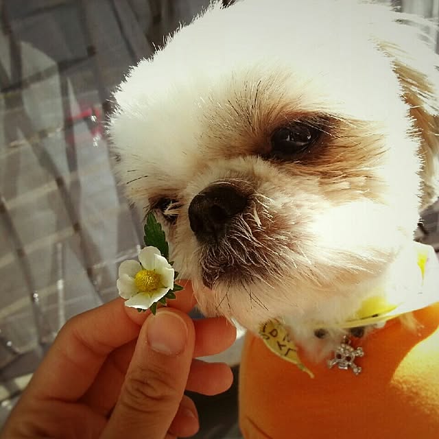 ted-ysdさんの実例写真