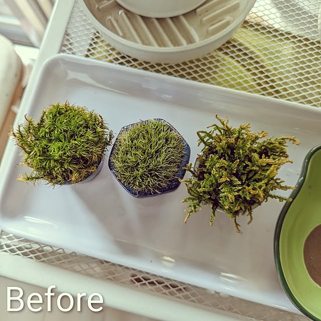 mi-saさんの部屋