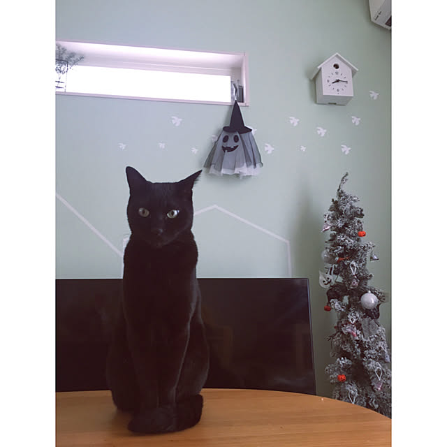 Kaoさんの実例写真