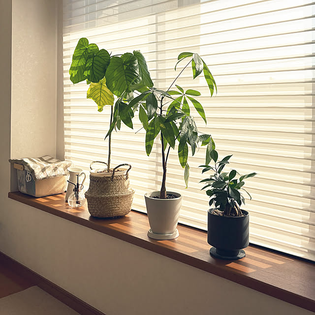 kawauso15さんの部屋