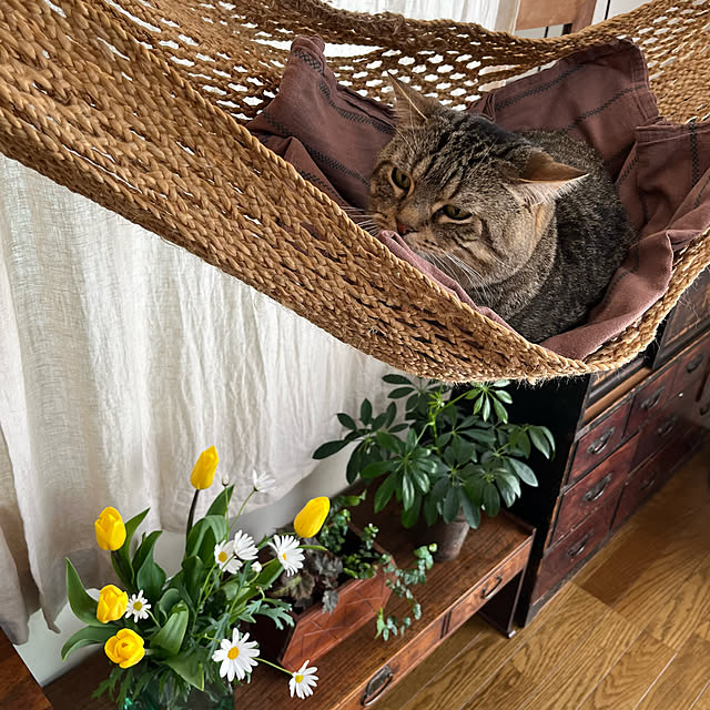 kuuさんの部屋