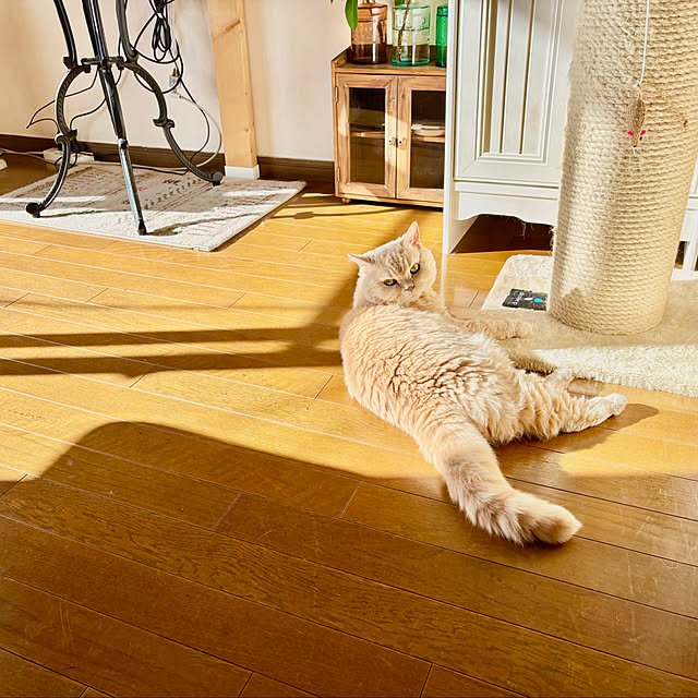 naokoさんの実例写真