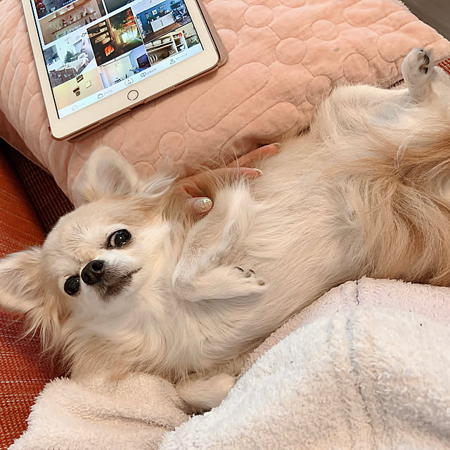 Emafuさんの実例写真