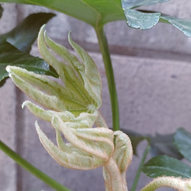 hiro.904さんの部屋