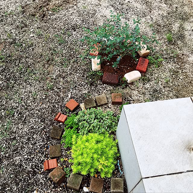 yoppyさんの実例写真